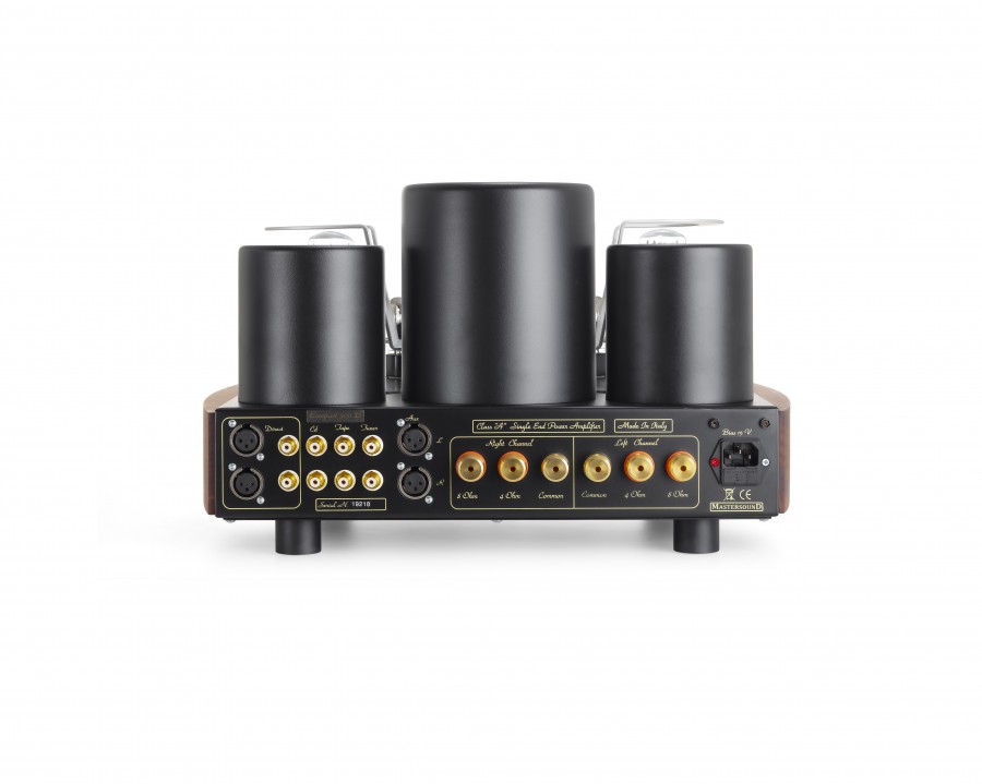 MastersounD Compact 300B ingangen Mogelijke ingangen van de MastersounD Compact 300B