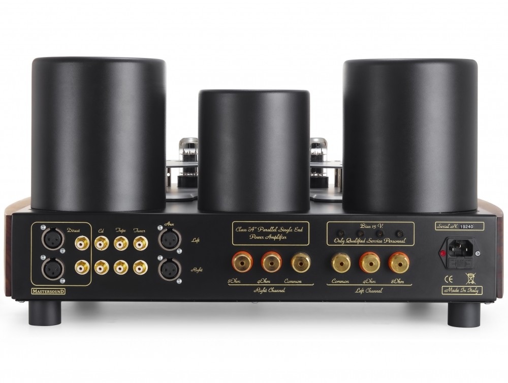 MastersounD Evolution 845 aansluitingen MastersounD Evolution 845 RCA en xlr uitgangen