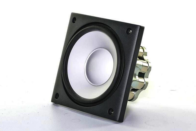 raidho_x1t_woofer